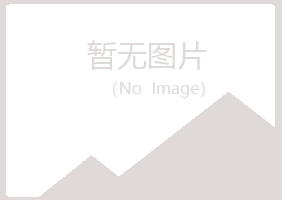 白银平川夜蓉咨询有限公司